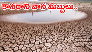 నత్తనడకన రుతుపవనాలు.. పత్తాలేని వానదేవుడు..! వారం రోజులు వానల్లేవ్‌..