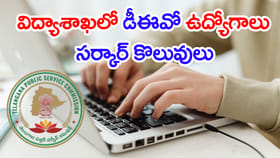 నెలకు రూ.1.37 లక్షల జీతంతో.. విద్యాశాఖలో DEO ఉద్యోగాలు! లింక్ ఇదే