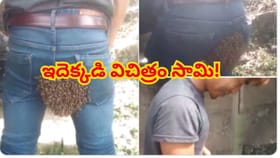 ఒంటిపై వేలాది తేనెటీగలు.. అయినా సరే నో టెన్షన్! వీడియో వైరల్