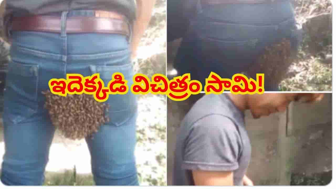 ఒంటిపై వేలాది తేనెటీగలు.. అయినా సరే నో టెన్షన్! నెట్టింట వైరల్ అవుతున్న విచిత్ర వీడియో!