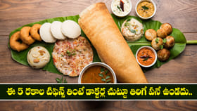 ఈ 5 రకాల టిఫిన్స్ తింటే డాక్టర్ల చుట్టూ తిరిగే పనే ఉండదు..