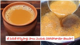 టీ పెడితే కొన్నిసార్లు పాలు ఎందుకు విరిగిపోతాయో తెలుసా?