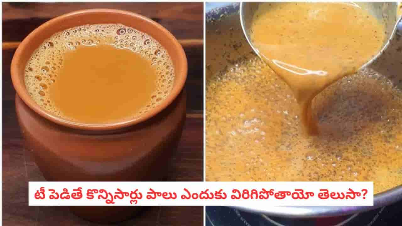 Tea Making Tips: టీ చేసేటప్పుడు పాలు విరిగిపోతున్నాయా? ఈ చిన్న చిట్కాతో ప్రతిసారీ పర్ఫెక్ట్ చాయ్ మీ సొంతం!