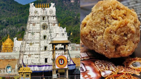 సరికొత్త చరిత్ర సృష్టించిన తిరుమల లడ్డూ..!