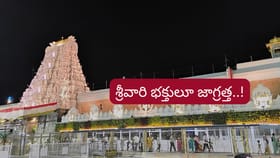తిరుమల శ్రీవారి భక్తులూ జాగ్రత్త.. వారిని నమ్మి మోసపోకండి..!