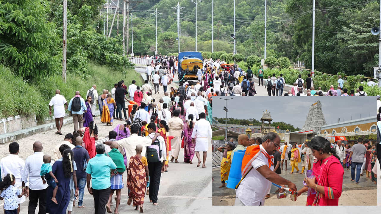 భక్తులు తలనీలాలు సమర్పించేందుకు ఎలాంటి ఇబ్బందులు తలెత్తకుండా టీటీడీ విస్తృత ఏర్పాట్లు చేపట్టింది. గత మూడు రోజుల్లో 1,34,637 మంది భక్తులు తలనీలాలు సమర్పించడం విశేషం. తిరుమలలో ప్రధాన కల్యాణకట్టతో పాటు 11 మినీ కల్యాణకట్టలు భక్తులకు అందుబాటులో ఉన్నాయి. క్షురకుల ద్వారా భక్తులకు నిరంతరాయంగా సేవలు అందిస్తోంది.