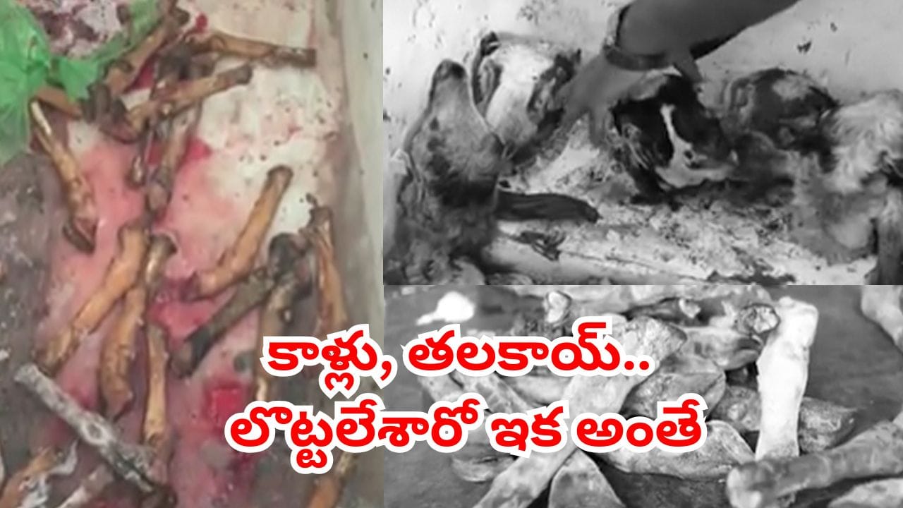 ఛీ.. ఛీ.. కుళ్లిన మాంసం అమ్మేస్తున్నారు.. నాన్-వెజ్ ప్రియులారా తస్మాత్ జాగ్రత్త..! వీడియో చూస్తే