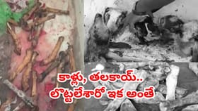 కుళ్లిన మాంసం అమ్మేస్తున్నారు.. నాన్‌-వెజ్‌ ప్రియులారా జాగ్రత్త