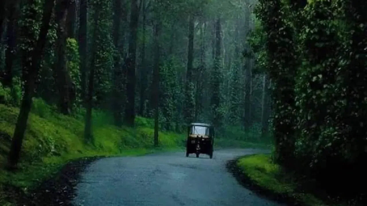 కూర్గ్, కర్ణాటక.. 
'భారతదేశపు స్కాట్లాండ్'గా పేరొందిన కూర్గ్ వర్షాకాలంలో మరింత సుందరంగా మారుతుంది. జూన్ నుంచి అక్టోబర్ వరకు ఇక్కడి పచ్చదనం కళకళలాడుతూ ఉంటుంది. కాఫీ తోటలు, దట్టమైన అడవులు, ఉప్పొంగే జలపాతాలు, చల్లని గాలులు కలిసి ప్రకృతి ప్రేమికులకు మరపురాని అనుభూతిని అందిస్తాయి. ప్రశాంతమైన వాతావరణంలో కొంత సమయం గడపాలనుకునేవారికి ఇది అద్భుతమైన ఎంపిక.
