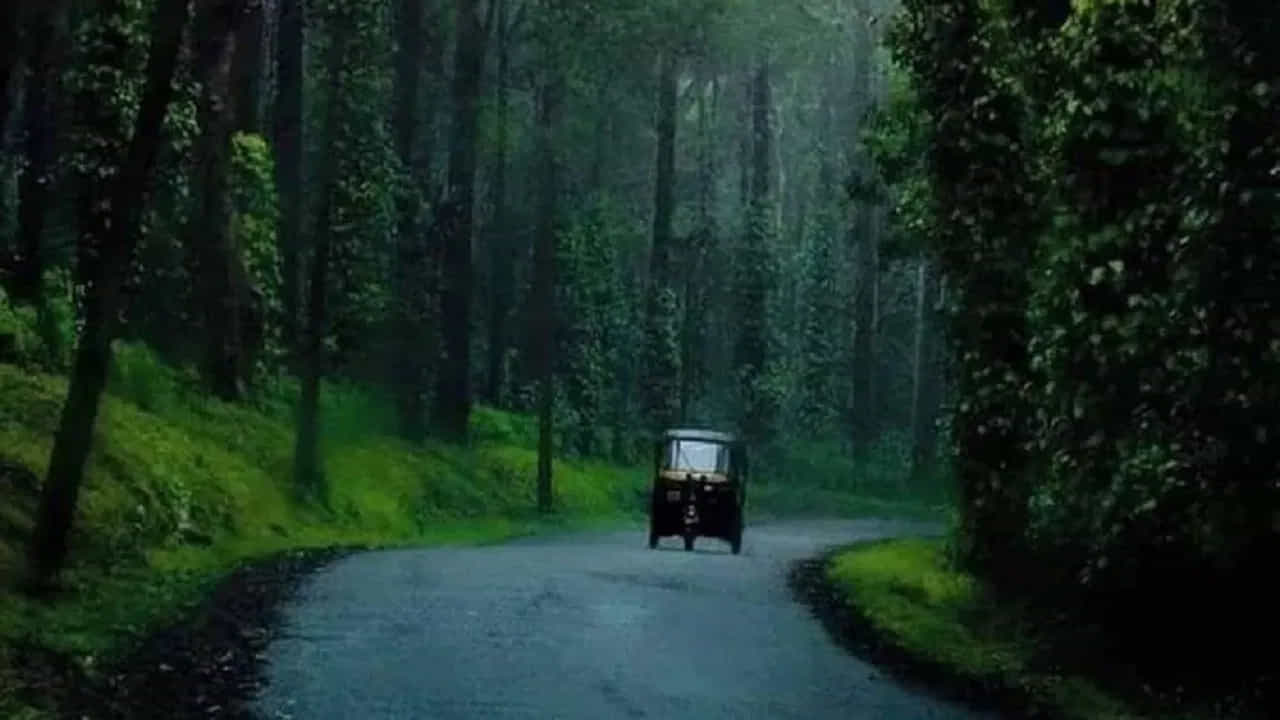 కూర్గ్, కర్ణాటక..
'భారతదేశపు స్కాట్లాండ్'గా పేరొందిన కూర్గ్ వర్షాకాలంలో మరింత సుందరంగా మారుతుంది. జూన్ నుంచి అక్టోబర్ వరకు ఇక్కడి పచ్చదనం కళకళలాడుతూ ఉంటుంది. కాఫీ తోటలు, దట్టమైన అడవులు, ఉప్పొంగే జలపాతాలు, చల్లని గాలులు కలిసి ప్రకృతి ప్రేమికులకు మరపురాని అనుభూతిని అందిస్తాయి. ప్రశాంతమైన వాతావరణంలో కొంత సమయం గడపాలనుకునేవారికి ఇది అద్భుతమైన ఎంపిక.