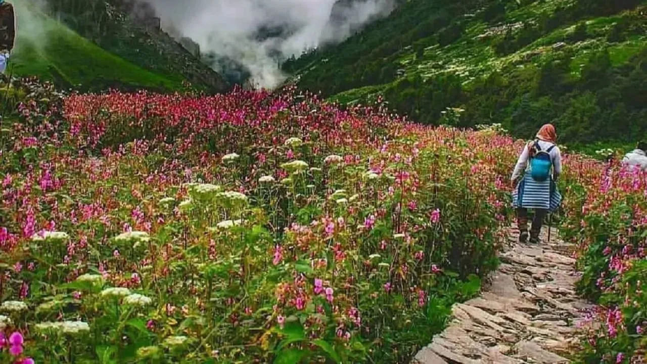 పూల లోయ (Valley of Flowers), ఉత్తరాఖండ్.. 
జూలై, ఆగస్టు నెలల్లో ఉత్తరాఖండ్‌లోని పూల లోయ రంగురంగుల పుష్పాలతో కళకళలాడుతుంది. యునెస్కో ప్రపంచ వారసత్వ ప్రదేశంగా గుర్తింపు పొందిన ఈ ప్రాంతంలో వందలాది రకాల అరుదైన పువ్వులు వికసిస్తాయి. ప్రకృతి ప్రేమికులు, ట్రెక్కింగ్ అభిమానులు, ఫోటోగ్రఫీ ప్రియులకు ఇది నిజమైన స్వర్గధామం.
