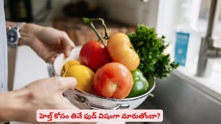 చేప ప్రియులకు సూపర్‌ గుడ్‌న్యూస్…ఇకపై ముళ్లు గుచ్చుకుంటాయనే భయమే లేదు..! ఈ 4 మ్యాజిక్‌ ఫిష్‌లను ట్రై చేయండి