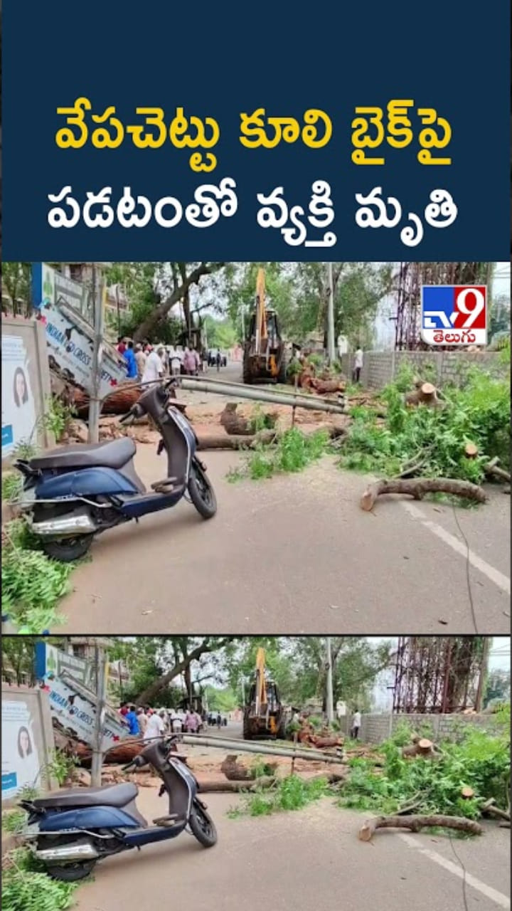 Tragedy: అయ్యో.. వేపచెట్టు కూలి బైక్‌పై పడటంతో వ్యక్తి..
