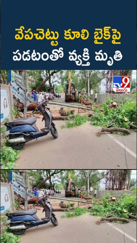 Tragedy: అయ్యో.. వేపచెట్టు కూలి బైక్‌పై పడటంతో వ్యక్తి..