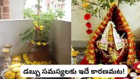 తులసి మొక్క దగ్గర ఈ 5 వస్తువులు ఉన్నాయా? లక్ష్మీదేవి ఇంట్లో..