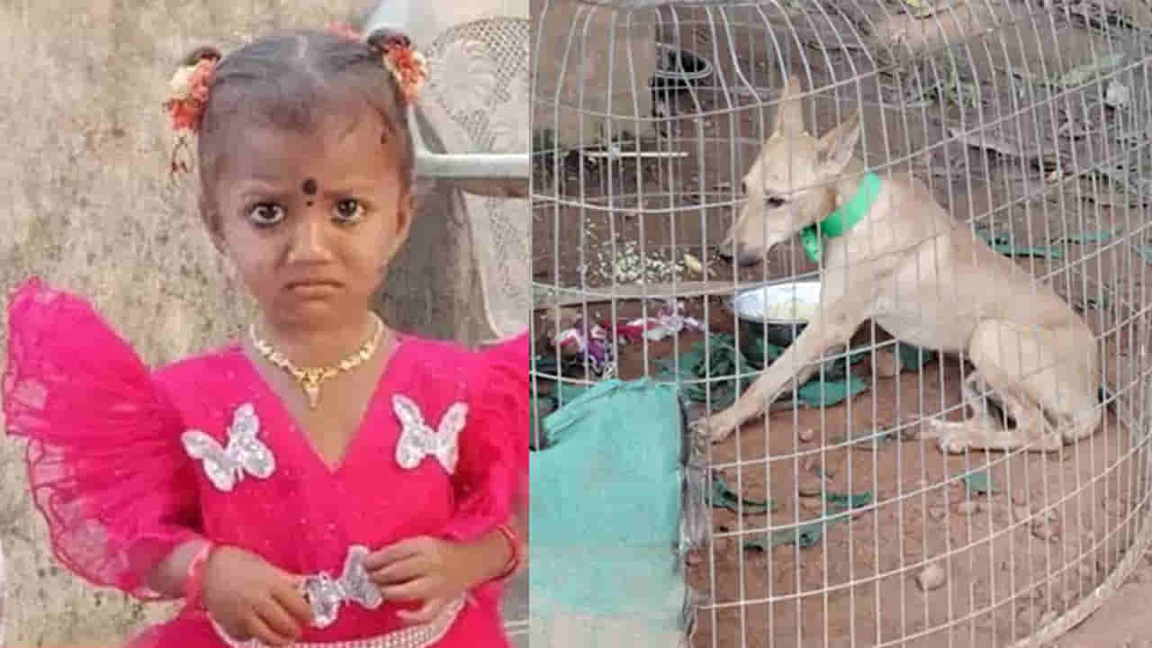Tuni: బుజ్జి తల్లీ ఎక్కడున్నావమ్మా..? పాప మిస్సింగ్ కేసులో లేటెస్ట్ అప్డేట్స్..