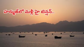 శాంతి మంత్రం.. దోహాలో అమెరికా-ఇరాన్ కీలక సమావేశం..