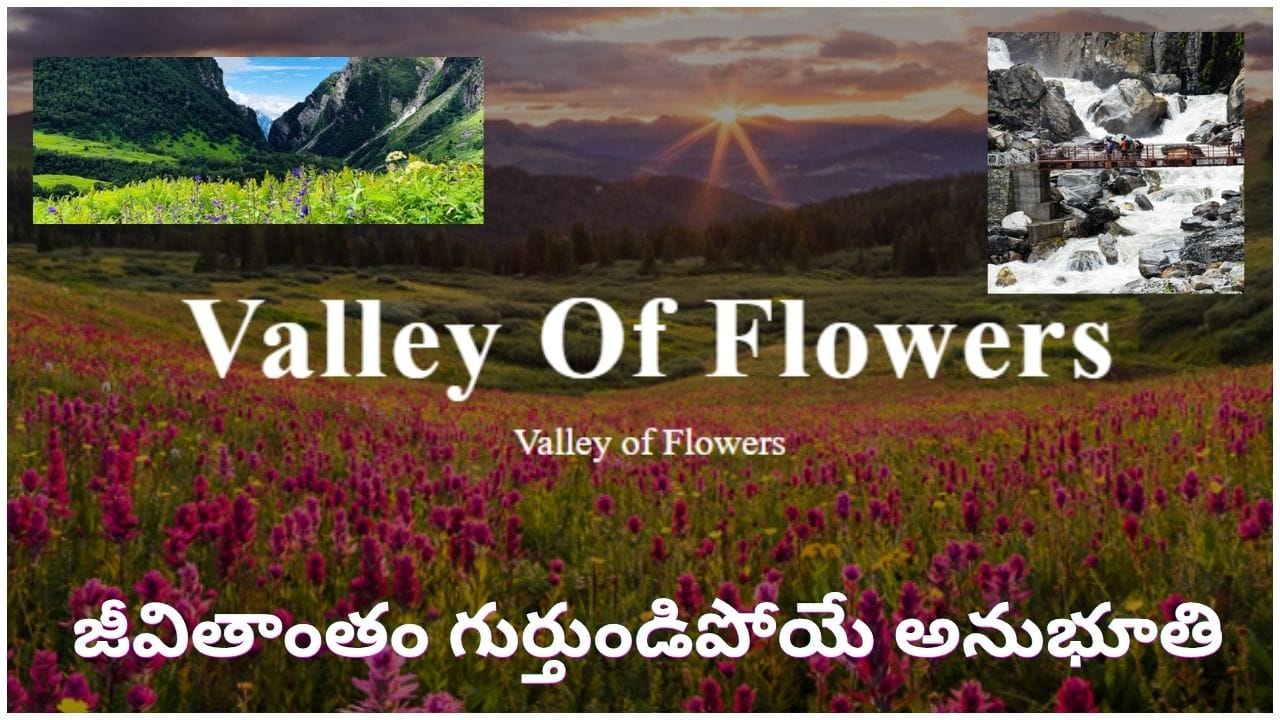 Valley of Flowers: ఈ పూల స్వర్గాన్ని మీరూ సందర్శిస్తారా..? ఇదే బెస్ట్ టైమ్.. వెళ్లేముందు ఇవి తప్పక తెలుసుకోండి!