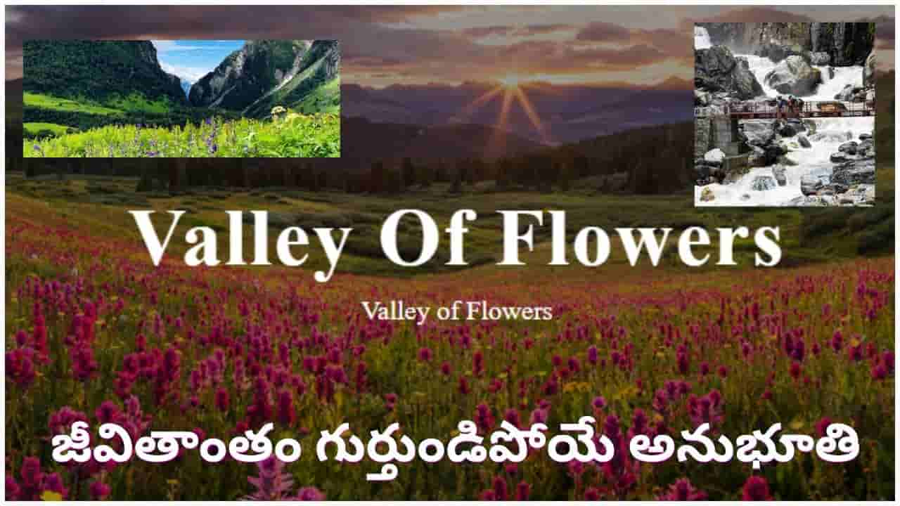 Valley of Flowers: ఈ పూల స్వర్గాన్ని మీరూ సందర్శిస్తారా..? ఇదే బెస్ట్ టైమ్.. వెళ్లేముందు ఇవి తప్పక తెలుసుకోండి!