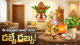 ఇంట్లోని మూలల్లో ఈ వస్తువులు ఉంచండి!లక్ష్మీదేవి అనుగ్రహంతో డబ్బు