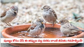 పుణ్యం కోసం చేసే ఈ తప్పుల వల్ల నరకం లాంటి జీవితం గడపాల్సిందే!