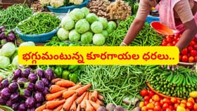 ఎల్‌ నినో ఎఫెక్ట్‌.. పడిపోయిన కూరగాయల దిగుబడి..