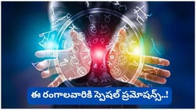 శుక్రుడి కటాక్షం మొదలైంది.. ఈ 4 రాశుల వారికి డబ్బే డబ్బు.. గౌరవ