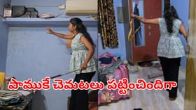 అంత ఈజీగా ఎలా అక్కా..ఏసీలో నక్కిన భారీ పామును క్షణాల్లో పట్టేసిన