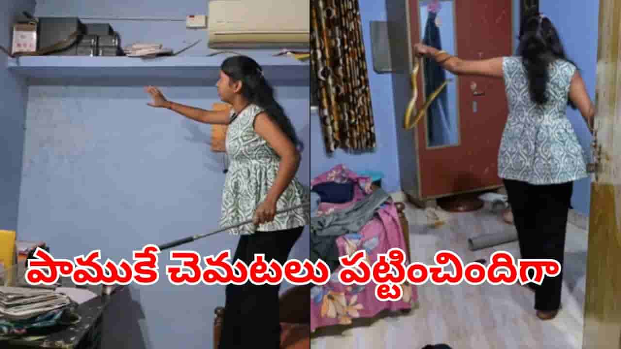 Viral Video: అంత ఈజీగా ఎలా అక్కా.. ఏసీలో నక్కిన భారీ పామును క్షణాల్లో పట్టేసిన లేడీ.. వీడియో చూస్తే