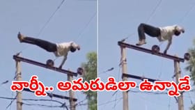 ఏ బ్రాండ్ తాగాడో మహానుబావుడు.. పక్షిలా వెళ్లి.. తీగలపై వాలాడు..
