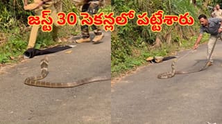 Viral Video: ఏమి టాలెంట్ బ్రో.. చెత్తబుట్టతో కూలర్..సామాన్యుడి సూపర్ ఐడియాకు నెటిజన్లు ఫిదా!