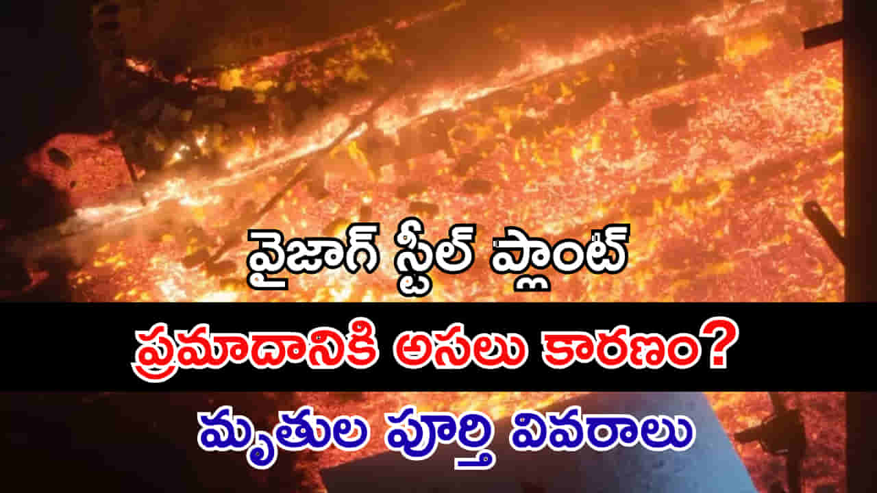 Vizag Steel Plant Tragedy: వైజాగ్ స్టీల్ ప్లాంట్లో ప్రమాదానికి అసలు కారణం? మృతుల పూర్తి వివరాలు ఇవే