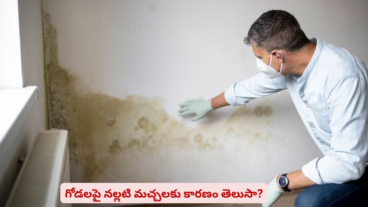 ఇంటి అందాన్ని నల్లటి గోడలు మార్చేస్తున్నాయా? రీజన్‌ ఇట్టే కనిపెట్టేయొచ్చు
