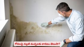 గోడలపై నల్లటి మచ్చలకు కారణం తెలుసా?