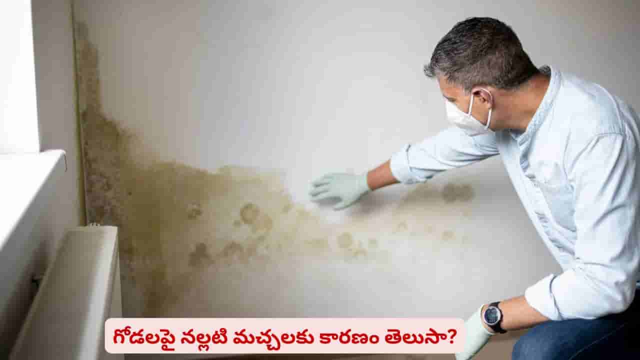 ఇంటి అందాన్ని నల్లటి గోడలు మార్చేస్తున్నాయా? రీజన్ ఇట్టే కనిపెట్టేయొచ్చు