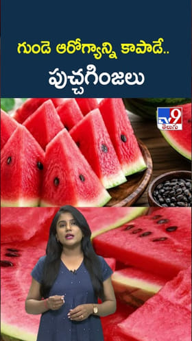 Watermelon Seeds: గుండె ఆరోగ్యానికి పుచ్చకాయ గింజలతో గొప్ప మేలు