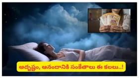 కలలో ఇవి కనిపిస్తున్నాయా..? అదృష్టం, ధనయోగానికి సంకేతమట!