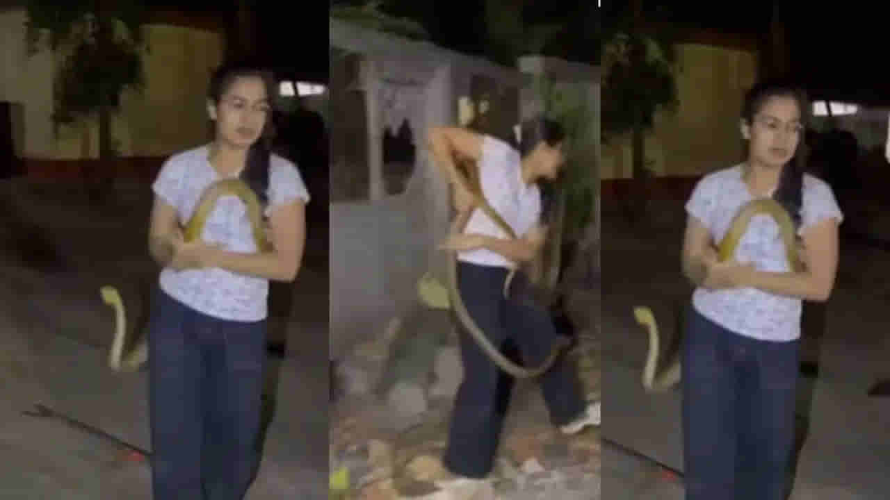 Watch Video: ఏం ధైర్యం సామి! శరీరాన్ని చుట్టేసుకున్న కోడె నాగు.. వీడియో చూసి నెటిజన్లు షాక్!