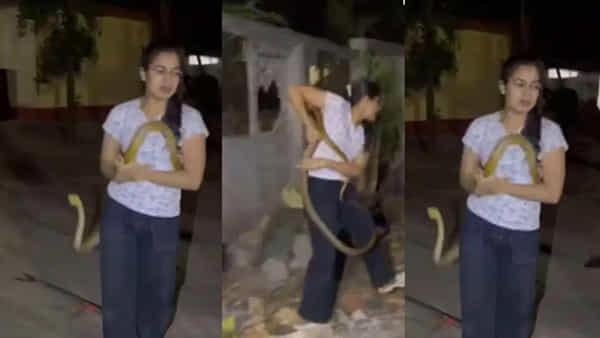 Watch Video: ఏం ధైర్యం సామి! శరీరాన్ని చుట్టేసుకున్న కోడె నాగు.. వీడియో చూసి నెటిజన్లు షాక్!
