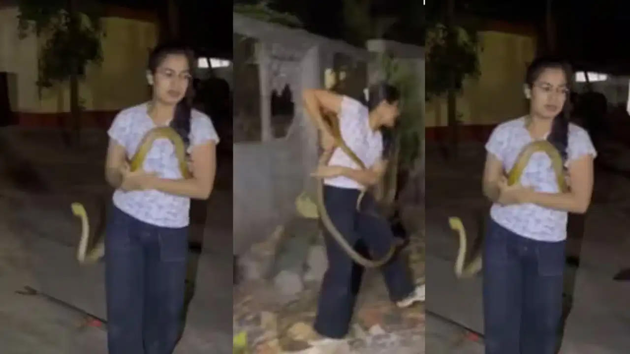 Watch Video: ఏం ధైర్యం సామి! శరీరాన్ని చుట్టేసుకున్న కోడె నాగు.. వీడియో చూసి నెటిజన్లు షాక్!