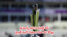 వరల్డ్ కప్ గెలిస్తే విన్నర్ కు ఎన్ని కోట్లు వస్తుందో తెలుసా ?