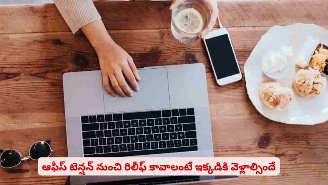 ఆఫీస్ టెన్షన్ నుంచి రిలీఫ్ కావాలా? ఇక్కడికి వెళ్తే చిటికెలో మాయమైపోతుందట