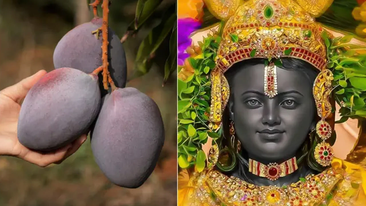 అయోధ్య రామయ్యకు కోటీశ్వరుల మామిడి.. లక్ష విలువైన పండును నైవేద్యంగా సమర్పించిన రైతు!