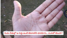 రెండు చేతుల్లో ఆ గుర్తు ఉంటే తిరుగులేని ధనయోగం.. ఎందుకో తెలుసా?