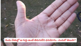 Palmistry Secrets: మీ అరిచేతిలో ‘X’ మార్క్ ఉందా?.. ప్రపంచంలో కేవలం 3 శాతం మందికి మాత్రమే ఉండే ఈ గుర్తు వెనుక ఉన్న అసలు రహస్యం ఇదీ!