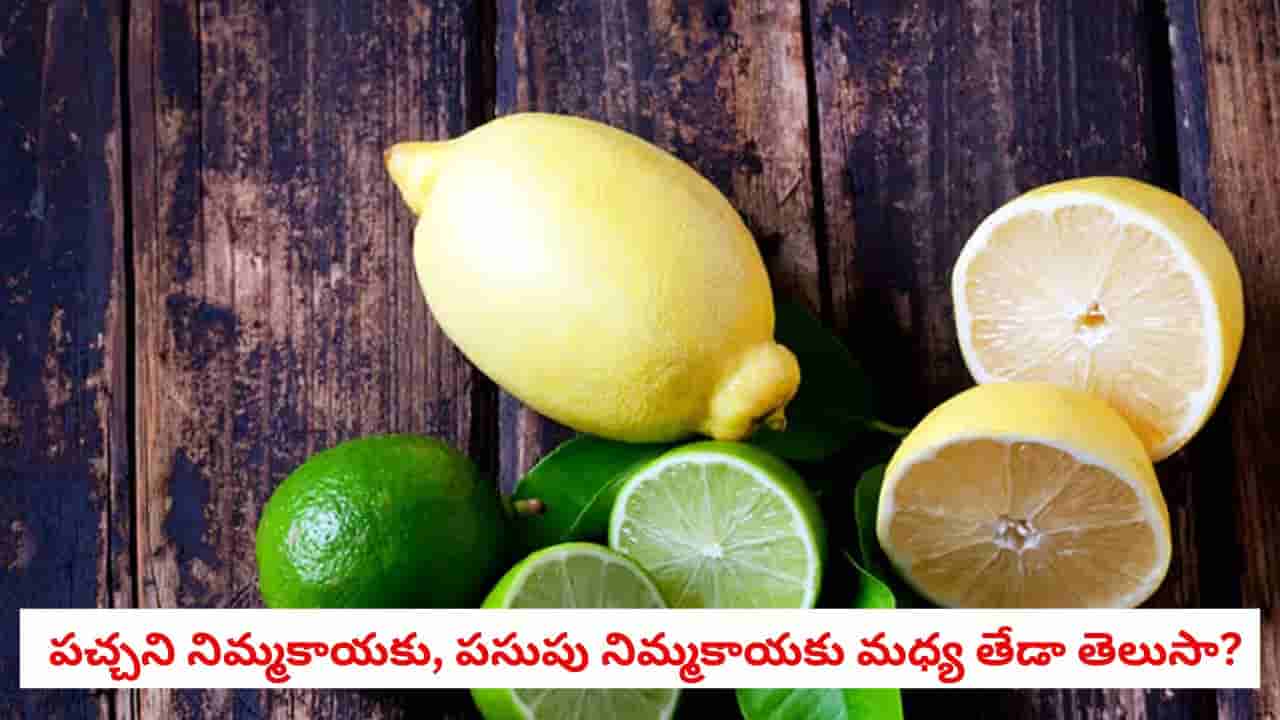 Green Vs Yellow Lemon: పచ్చని నిమ్మకాయకు, పసుపు నిమ్మకాయకు మధ్య తేడా తెలుసా? వంటల్లో దేన్ని వాడితే మంచి రుచి వస్తుందంటే!