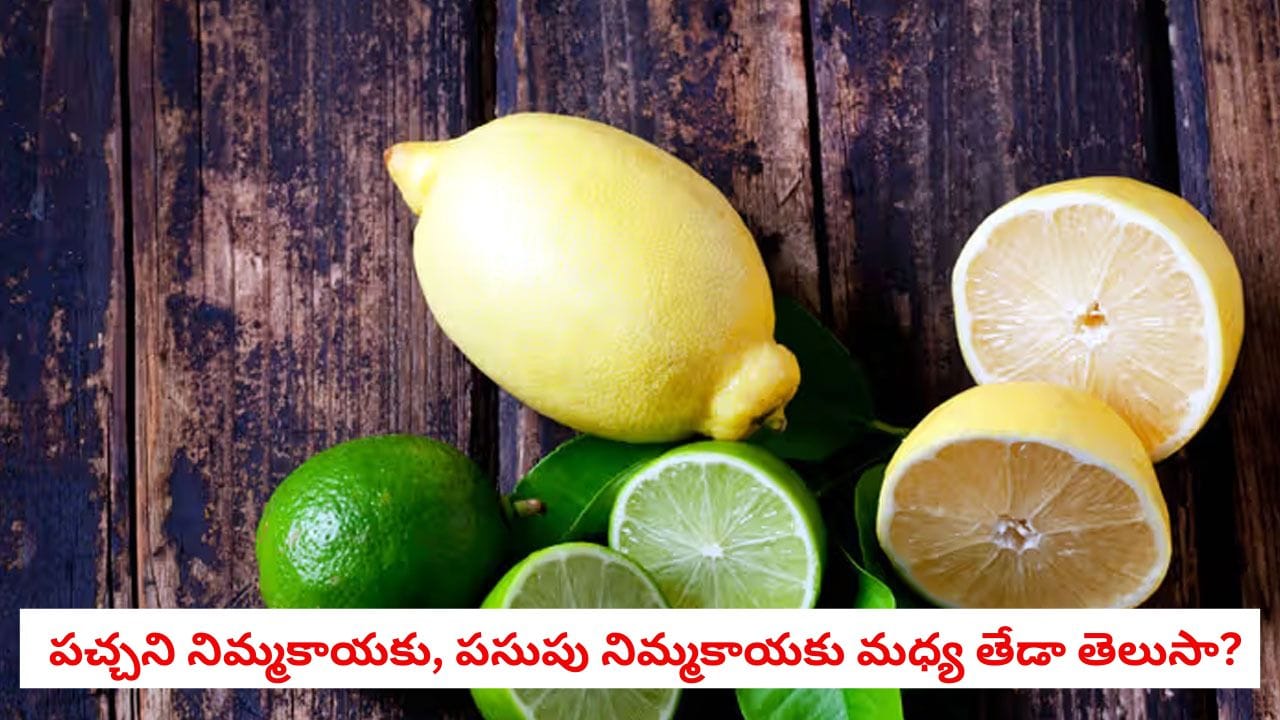 Green Vs Yellow Lemon: పచ్చని నిమ్మకాయకు, పసుపు నిమ్మకాయకు మధ్య తేడా తెలుసా? వంటల్లో దేన్ని వాడితే మంచి రుచి వస్తుందంటే!