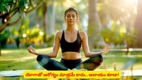 యోగాతో ఆరోగ్యం మాత్రమే కాదు.. ఆదాయం కూడా!