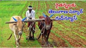 రైతులకు అదిరిపోయే శుభవార్త.. ఈ పంటలకు 75 శాతం సబ్సిడీతో విత్తనాలు