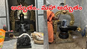 శివయ్యా.. ఇదేం మహత్యమయ్యా.. నూనెపోస్తే పాలాభిషేకమా?
